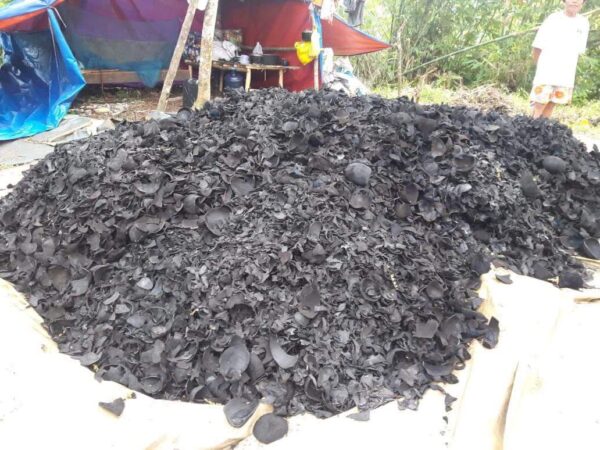 Coconut Charcoal - Daily Supply - Rs.55000 per ton