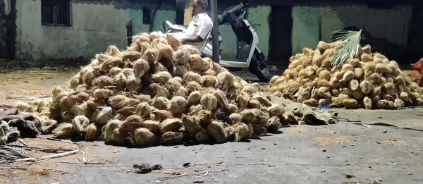 Coconut Seller from Visakhapatnam