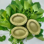 Kuppaimeni Soap