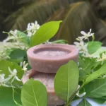 Vetpaalai soap